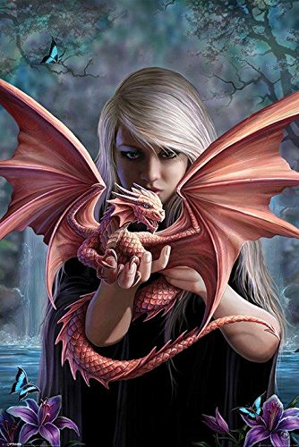 Anne Stokes Dragonkin Poster 24x36