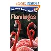 Flamingos (All Aboard Science Reader)