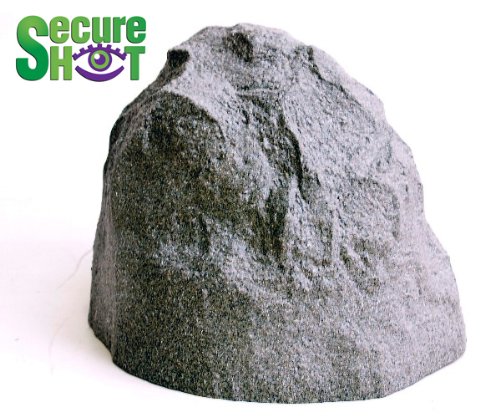SecureShot Fake Rock Hidden Camera & DVR - Color