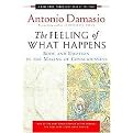 The Feeling of What Happens (Body and Emotion in the Making of Consciousness) (Reprint) (Paperback)