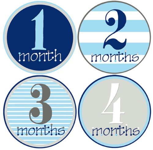 Baby boy monthly stickers 1-12 months by mumsy goose