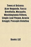 Trees of Arizona: Acer Negundo, Yucca Brevifolia, Mesquite, Washingtonia Filifera, Single-Leaf Pinyon, Acacia Greggii, Prosopis Velutina-