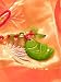 Feng Shui Luck Charm Prosperity