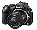 Panasonic Lumix