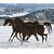 For the Love of Horses Calendar