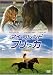DVD�u�}�C�E�t�����h�E�t���b�J (���ʕ�)�v