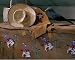 Olive Kids Cowboy Ride'm Wallies Wallpaper Cut Outs