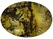 Jewelry : 18X13MM OVAL BUFF CUT DENDRITIC QUARTZ FROM BRAZIL