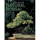 The Art of Natural Bonsai: Replicating Nature's Beauty