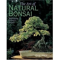 The Art of Natural Bonsai: Replicating Nature's Beauty
