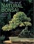 The Art of Natural Bonsai: Replicating Nature's Beauty