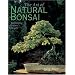 The Art of Natural Bonsai: Replicating Nature's Beauty