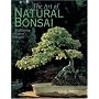 The Art of Natural Bonsai: Replicating Nature's Beauty