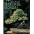 The Art of Natural Bonsai: Replicating Nature's Beauty