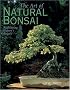 The Art of Natural Bonsai: Replicating Nature's Beauty