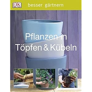 Pflanzen in Töpfen & Kübeln (Besser gärtnern)