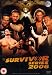 WWE - SURVIVOR SERIES 2006