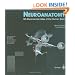 Neuroanatomy: 3D-Stereoscopic Atlas of the Human Brain (With CD-ROM)