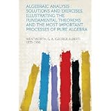 algebraic analysis solutions and exercises illustrating the fundamental theorems and the most important processes