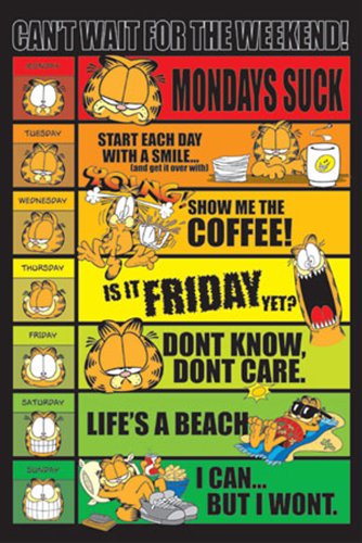 Empire 263728 Garfield - Weekend Poster - 61 x 91.5 cm Preisvergleich