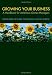 Growing your Business: A Handbook for Ambitious Owner-Managers