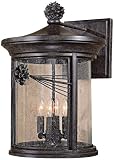 Abbey Lane Collection 19 High Wall Lantern