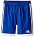 adidas Performance Tastigo 15 Shorts, Medium, Bold Blue/White