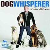 Produkt-Bild: (Dog Whisperer with Cesar Millan Calendar (2012)) By Millan, Cesar (Author) Wall on (07 , 2011)