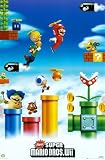 Nintendo Super Mario Bros Wii Pipes Video Game Poster Print - 22x34 Poster Print, 22x34