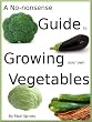 A No-nonsense Guide to Growing your own Vegetables
