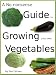 A No-nonsense Guide to Growing your own Vegetables