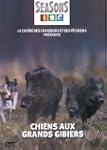 Chiens aux grands gibiers