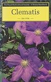 Clematis