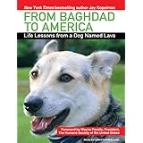 from baghdad to america life lessons from a dog named lava