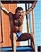 Tom Selleck - Movie Poster / Print -- Custom Framing Available Image