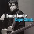 Damon Fowler - Live in Concert