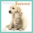 Friends Forever 2009 Mini Wall Calendar