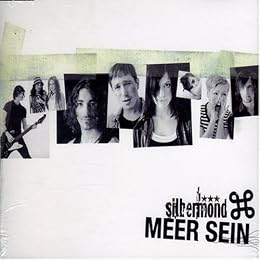 Silbermond Foto 4