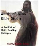 Words of Jesus Bible Study: (Booklet of Daily Reading Excerpts) (14 Days Bible Studies Book 0)
