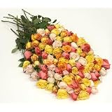 Send Fresh Cut Flowers - 100 Long Stem Assorted Roses