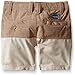 Volcom Little Boys' SNT Block Hybrid Short
