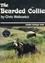 Bearded Collie