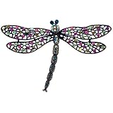 Colorized Dragonfly