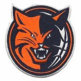 Charlotte Bobcats Primary Team Logo Patch