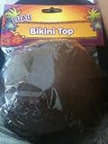 Sea Shell Bikini Top / Luau / One Size Fits All / Hawaiian Girl Costume Bra