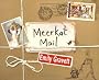 Meerkat Mail