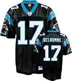 Carolina Panthers Jake Delhomme #17 NFL Replica Jersey