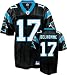 Carolina Panthers Jake Delhomme #17 NFL Replica Jersey