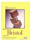 Strathmore 300 Series Bristol smooth 14 in. x 17 in.