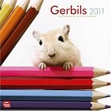 Gerbils 2011 Wall